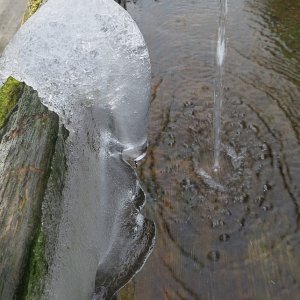 kühles Fließwasser