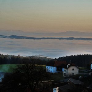 Nebel überm Donautal