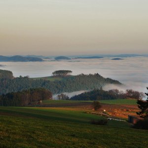 Nebel überm Donautal