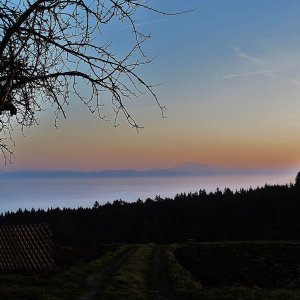 Abendsonne auf dem Ötscher