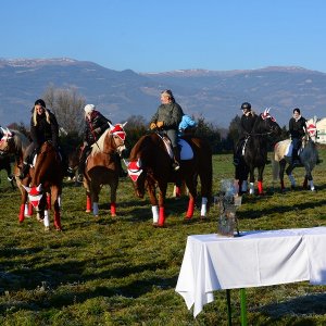 Pferdesegnung in St.Stefan im Lavanttal