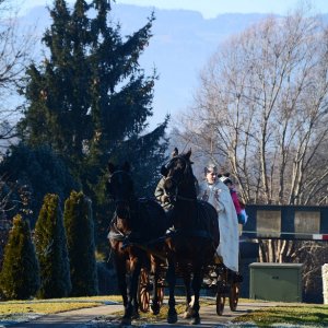 Pferdesegnung in St.Stefan im Lavanttal