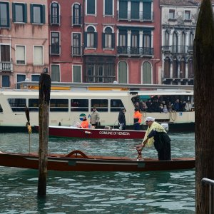 'Regata delle Befane' in Venedig