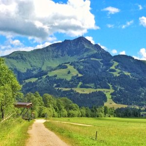 Kitzbüheler Horn