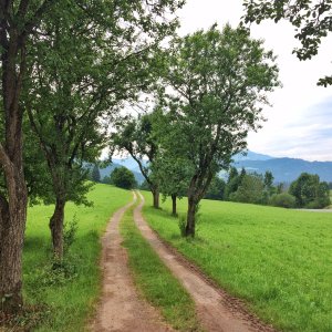 Landschaft vor Söll am Tiroler Jakobsweg