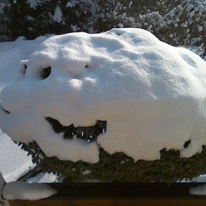 Schneemonster