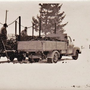 Kohlen im Schnee