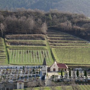 Tausendeimerberg in Spitz