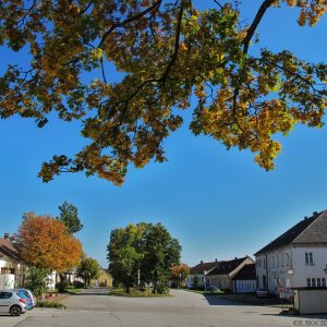 Kirchberg an der Wild