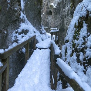 in der Falkenschlucht