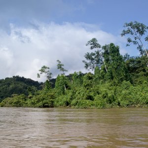 Río Usumacinta - 3  (Video)