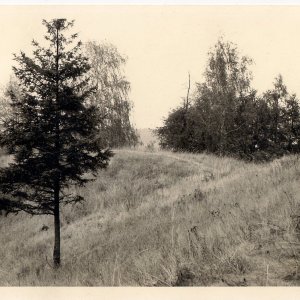 "Hausberg" bei Pleissing, Gem. Hardegg, Pol. Bezirk Hollabrunn