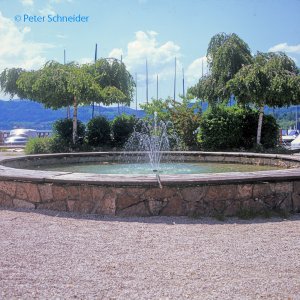 Brunnen in der Traunsteinstraße