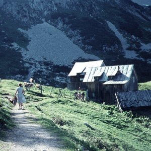 Tauplitzalm 1963