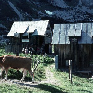 Steirerseehütte Tauplitzalm