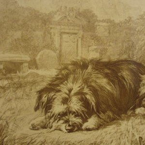 Greyfriars Bobby