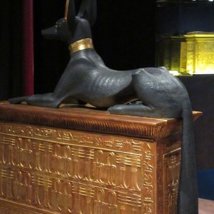 Anubis Grabkammer Tutanchamun