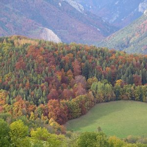 Herbst im Land