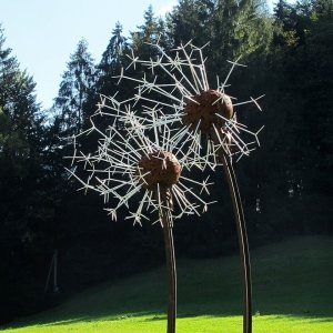 Pusteblume