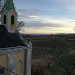 Weingartenkapelle in Gumpoldskirchen