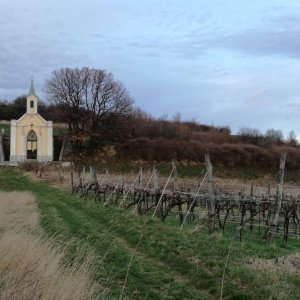 Weingartenkapelle in Gumpoldskirchen