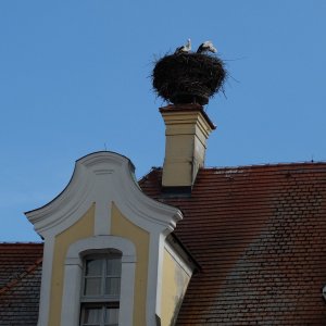 Storchennest