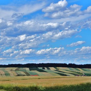 Waldviertel-Sommer