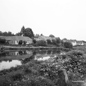 Ententeich Waldviertel