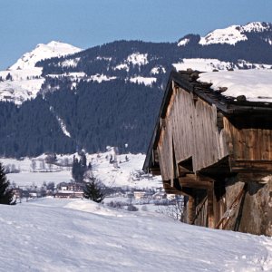 Kitzbühel, Blick auf das Kitzbüheler Horn 1956