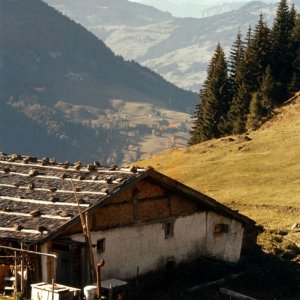 Kirchberg Tirol Unterochsenalm 1959