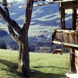 Kirchberg Tirol Bauernhöfe unterm Maierl 1959