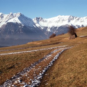 Wiesen Patsch Grünwalderhof