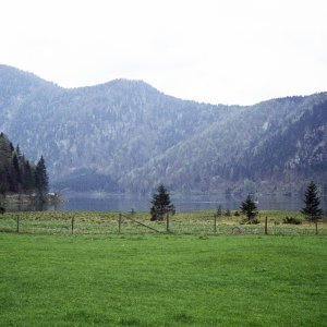 Almsee, Almtal