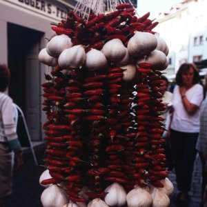 Obstmarkt Bozen