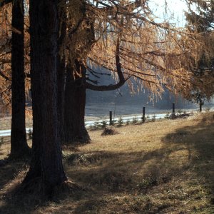 Hinterstoder Hutterer Böden