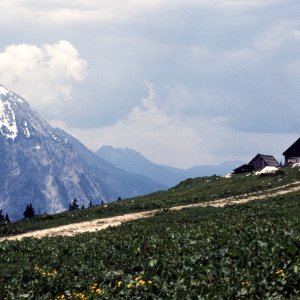 Bärenfeuchtenalm gegen Grimming