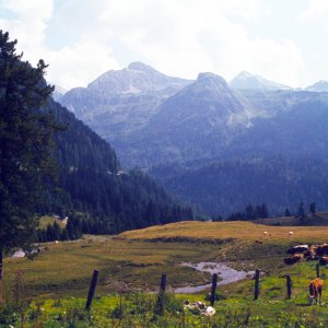 Gnadenalm Radstädter Tauern