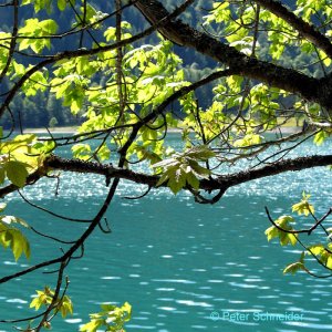 Achensee