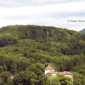 Kapuzinerberg Salzburg