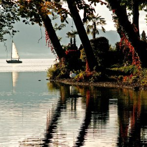 Herbst am See