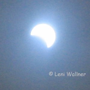 Sonnenfinsternis 29.März 2006