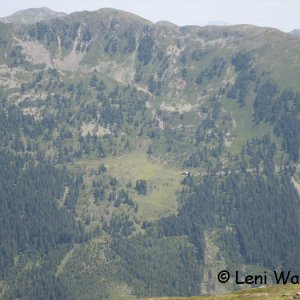 Gernkogel: Montlånger - Alm