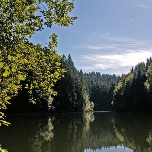 Waldsee