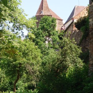 Zwettl Stadtmauer mit Antonsturm