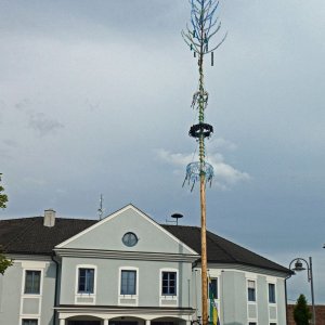 Maibaum