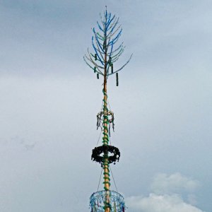 Maibaum