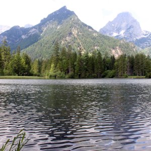 Schiederweiher