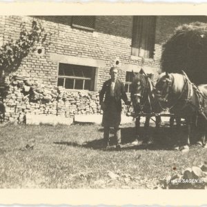 Pferde Heufuhr Landwirtschaft