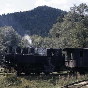 Wassertalbahn, Viseu de Sus