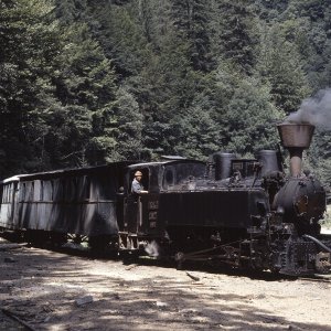 Wassertalbahn, Viseu de Sus